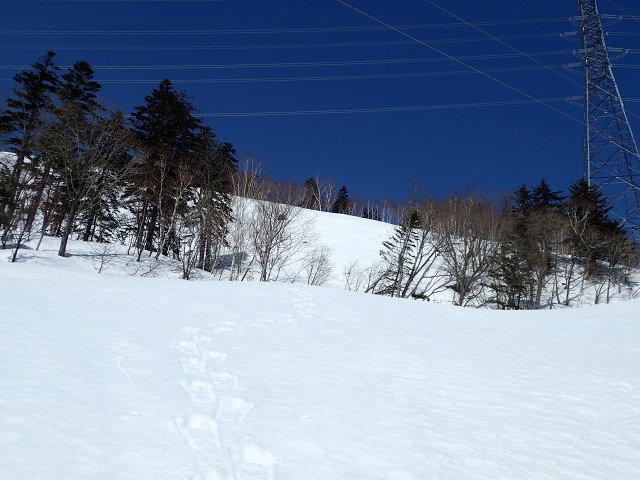 P4021002　10：24登りルート.jpg