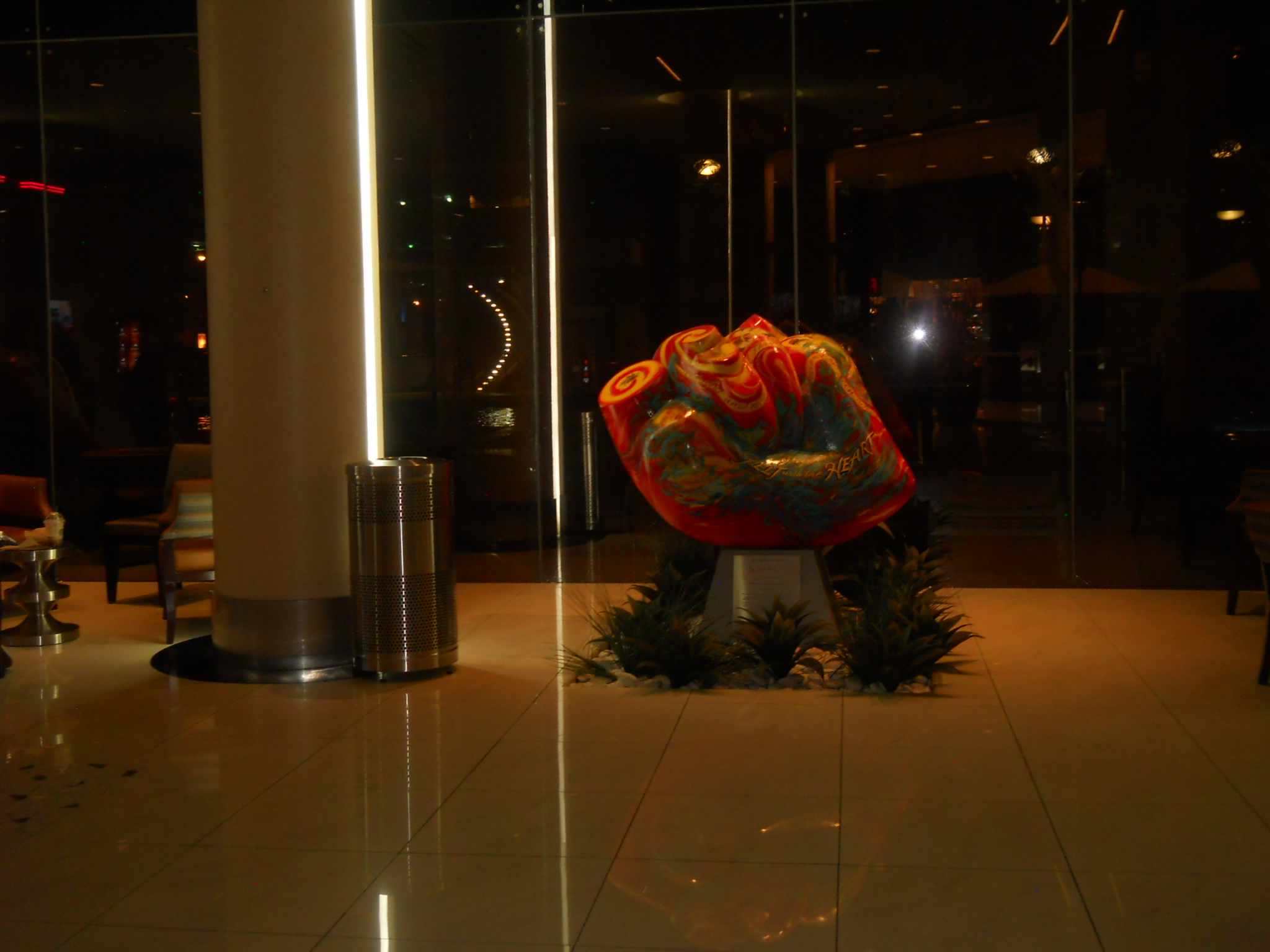 DSCN0155.JPG
