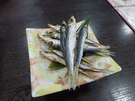 P1130952.JPG