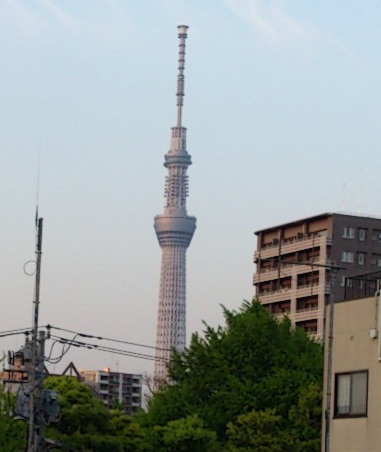 DSC_0123.jpg
