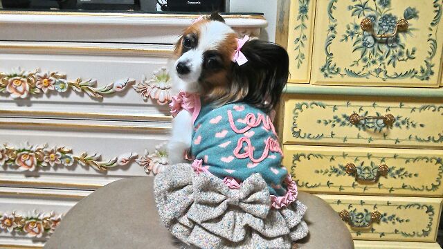 rblog-20141229034054-03.jpg