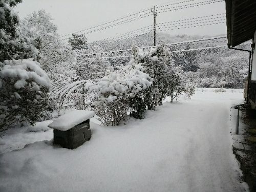 rblog-20180203071631-02.jpg