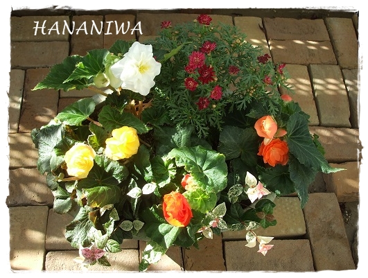 2012_1010トレッサ用寄せ植えとクレマチスの講座とカ0006.JPG
