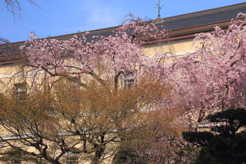 京都府庁旧本館_005.jpg
