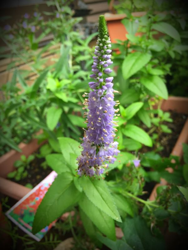 rblog-20160625182925-04.jpg
