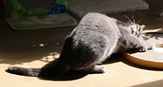 5DA_7577-20.jpg