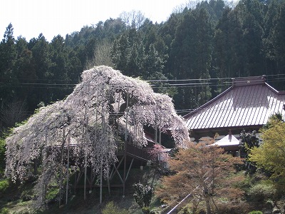 福島市・慈徳寺2