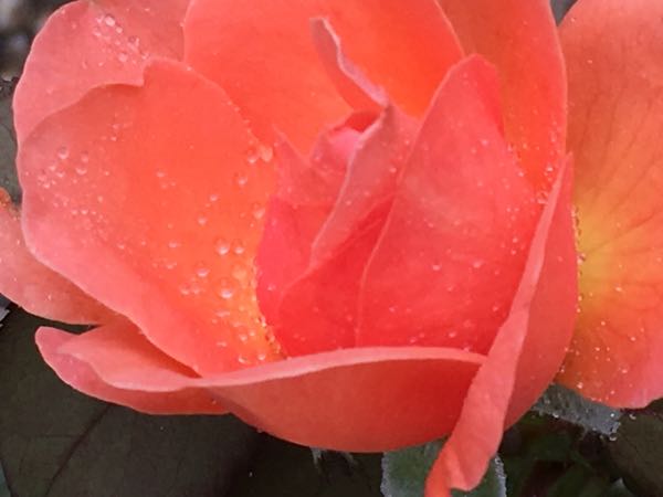 rblog-20170727134203-01.jpg