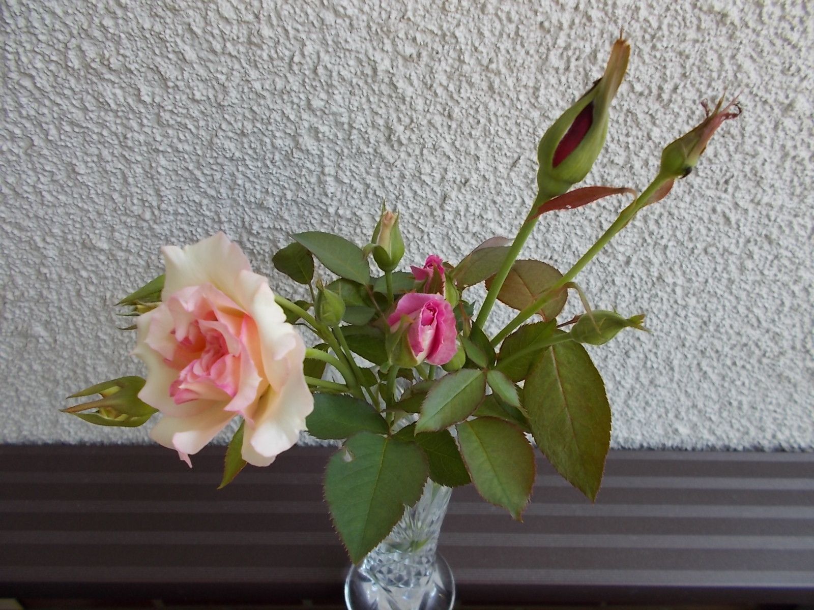 ほころんだバラの蕾を切って 花瓶に生けました バラを咲かせることが好き 楽天ブログ