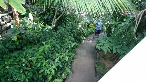 rblog-20180601214436-06.jpg