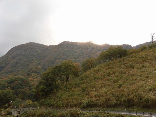 15.11.03紅葉６.JPG