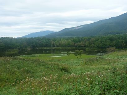 P1100049.JPG