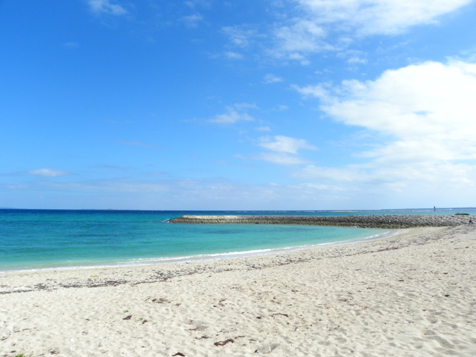 DSCN0439.jpg