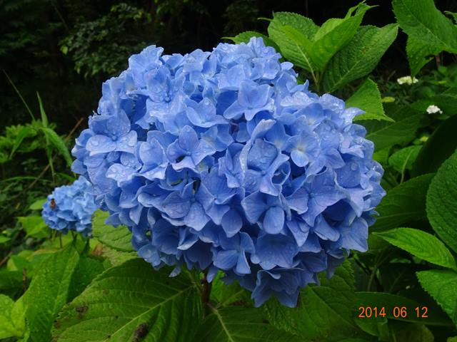 DSC04164_R.JPG