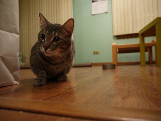 P1000133.jpg