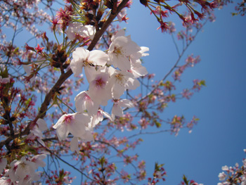 130415-3.jpg