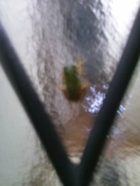 20120912_5.jpg