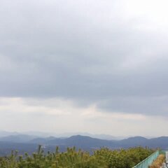 ３月１１日分 007.jpg