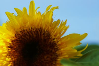 0708405.jpg