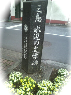 P1010756.jpg