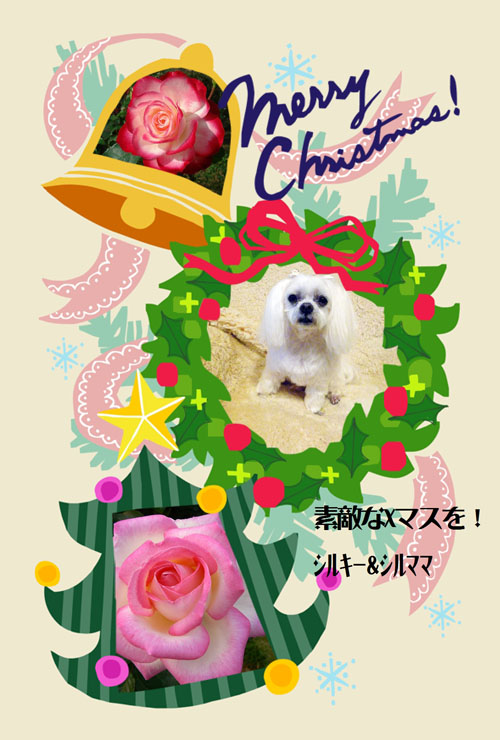 シルちゃんママさん