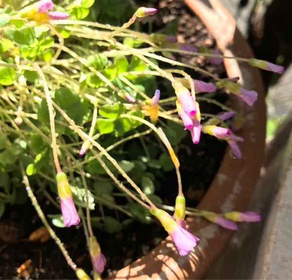 rblog-20171026185949-05.jpg