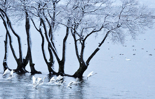 雪４