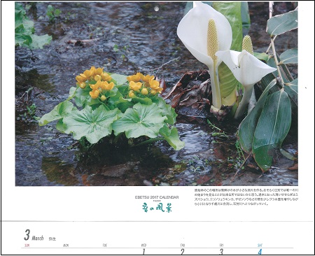 w 3-4月.jpg
