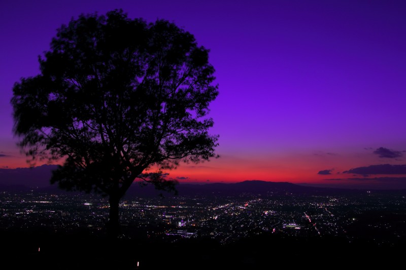 若草山夜景_003.jpg