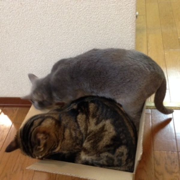 rblog-20140504183918-02.jpg