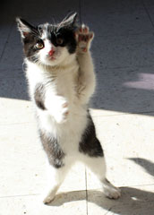 s201109130400.jpg