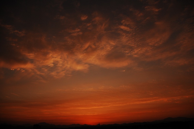 D40 631.jpg