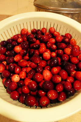cranberry02.jpg