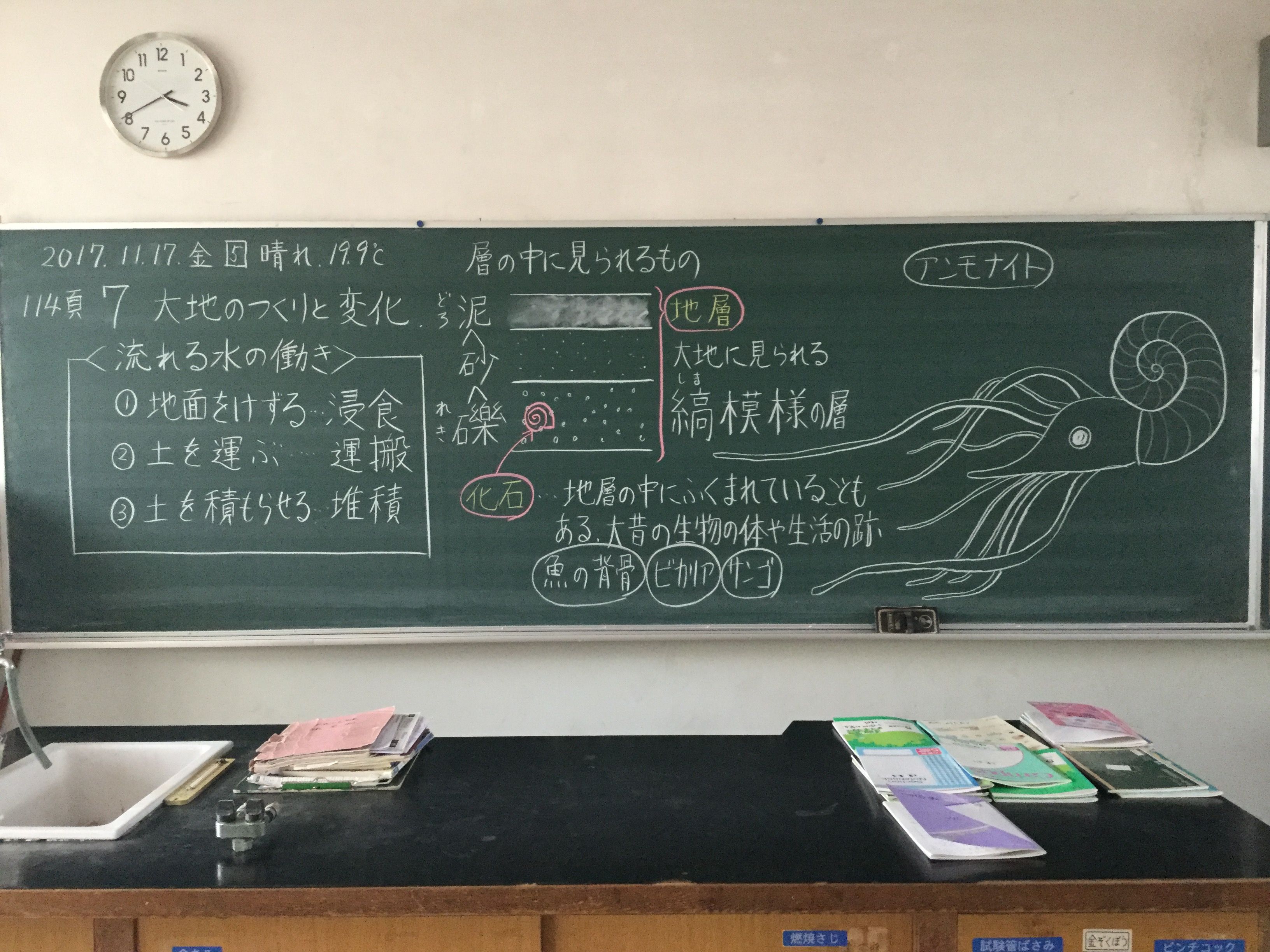 アンモナイト17 11 17 金 原田誉一の電脳通信 楽天ブログ