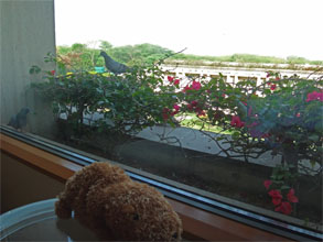 インド118.jpg