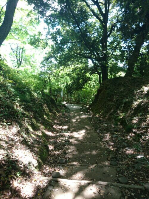 rblog-20180608235811-03.jpg