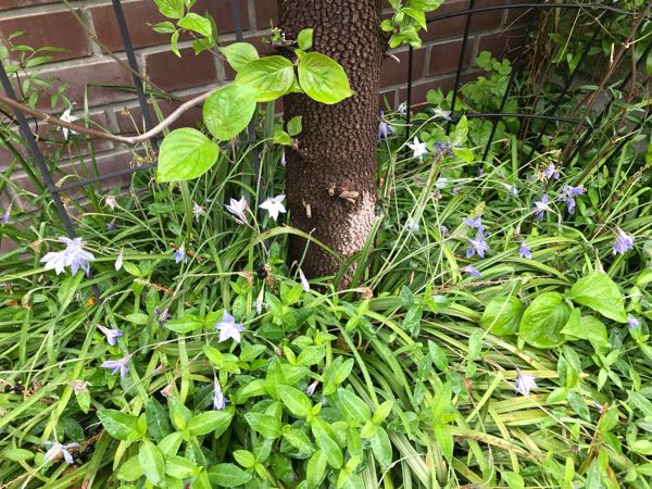 rblog-20190426181100-06.jpg