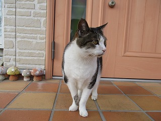 IMG_5199ss.jpg