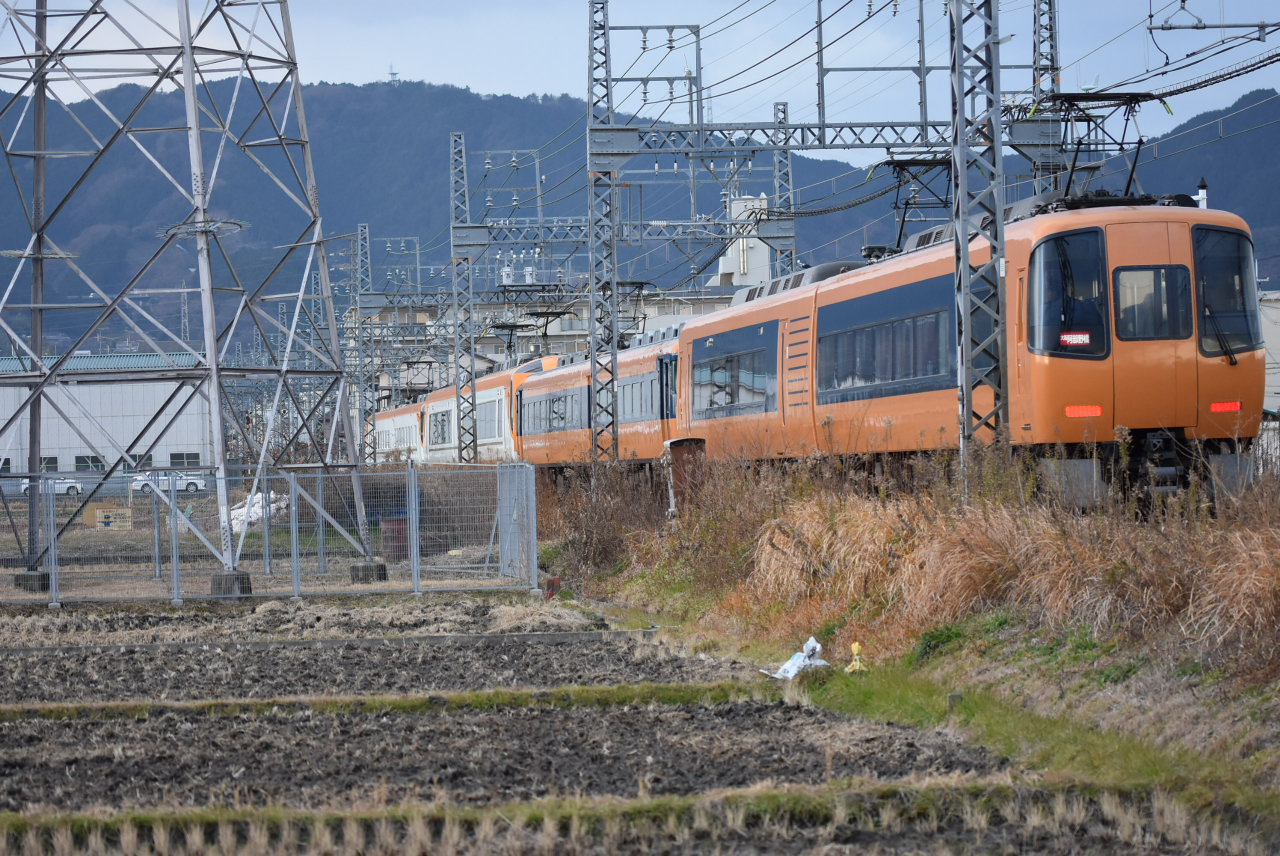 DSC_4986.JPG