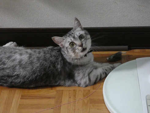 P1010223.JPG