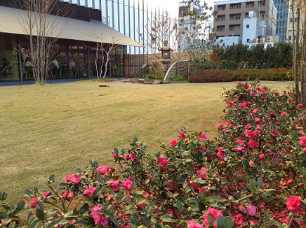 庭園2013.12.JPG
