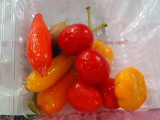 １／２ｵｰﾄｺｰ　ﾙｰｸﾁｭｯﾌﾟ