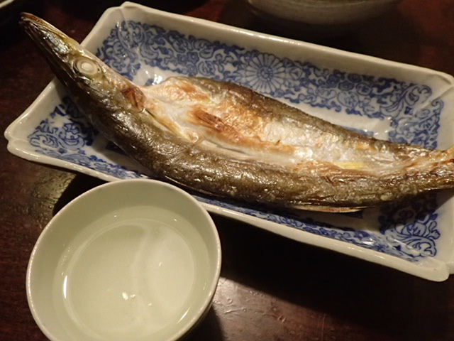1701110128.JPG