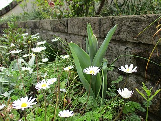 IMG_8653ss.jpg