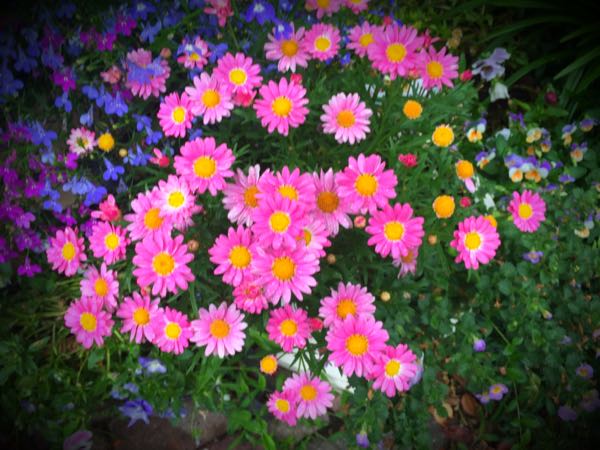 rblog-20160530191535-05.jpg