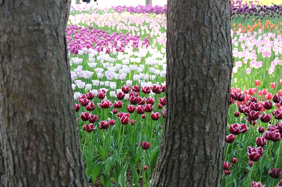 2011.4.29 021.JPG