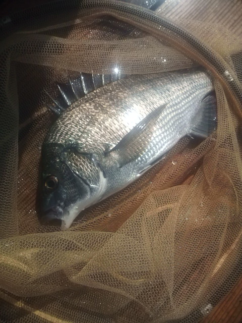 20120728090206.jpg