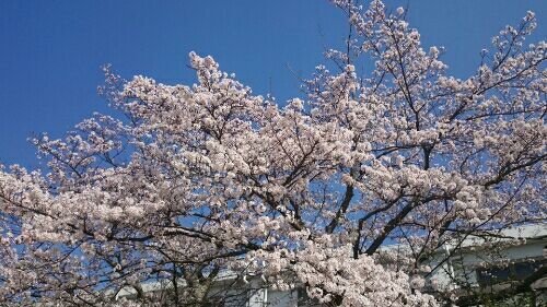 rblog-20180331224307-01.jpg