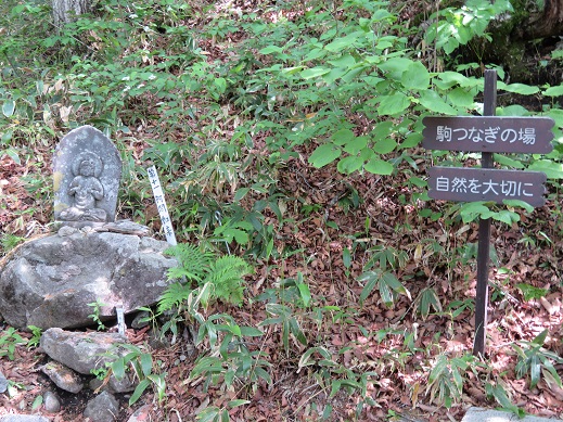2日目は飯縄山・・・虫との格闘 | KIKIの山行き・・・ 山と山の花 - 楽天ブログ