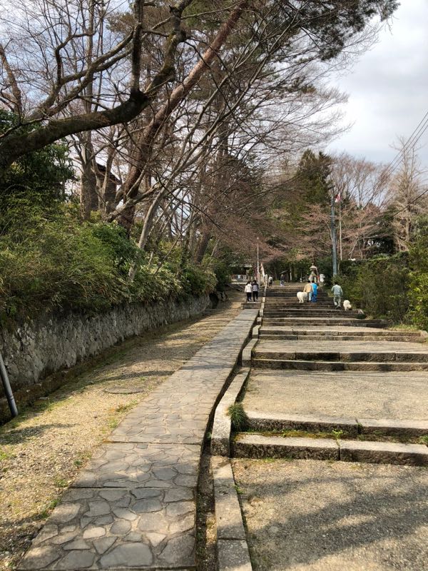 rblog-20180401210750-01.jpg